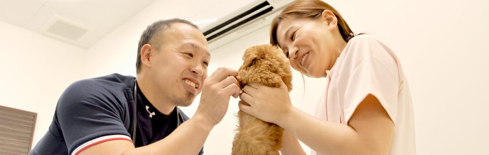 オリバ犬猫病院 写真