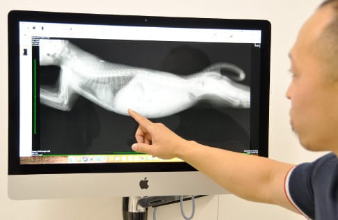 オリバ犬猫病院 写真