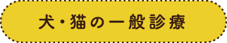 犬・猫の一般診療