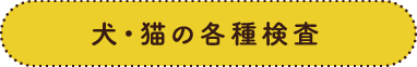 犬・猫の各種検査