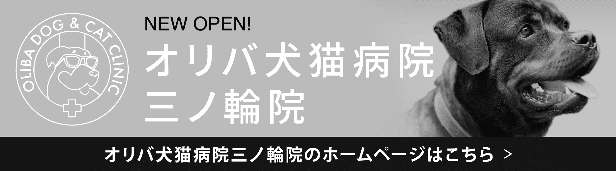 オリバ犬猫病院 三ノ輪院 NEW OPEN