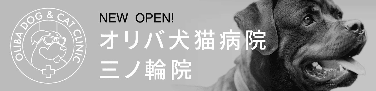 オリバ犬猫病院 三ノ輪院 NEW OPEN