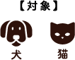 犬猫